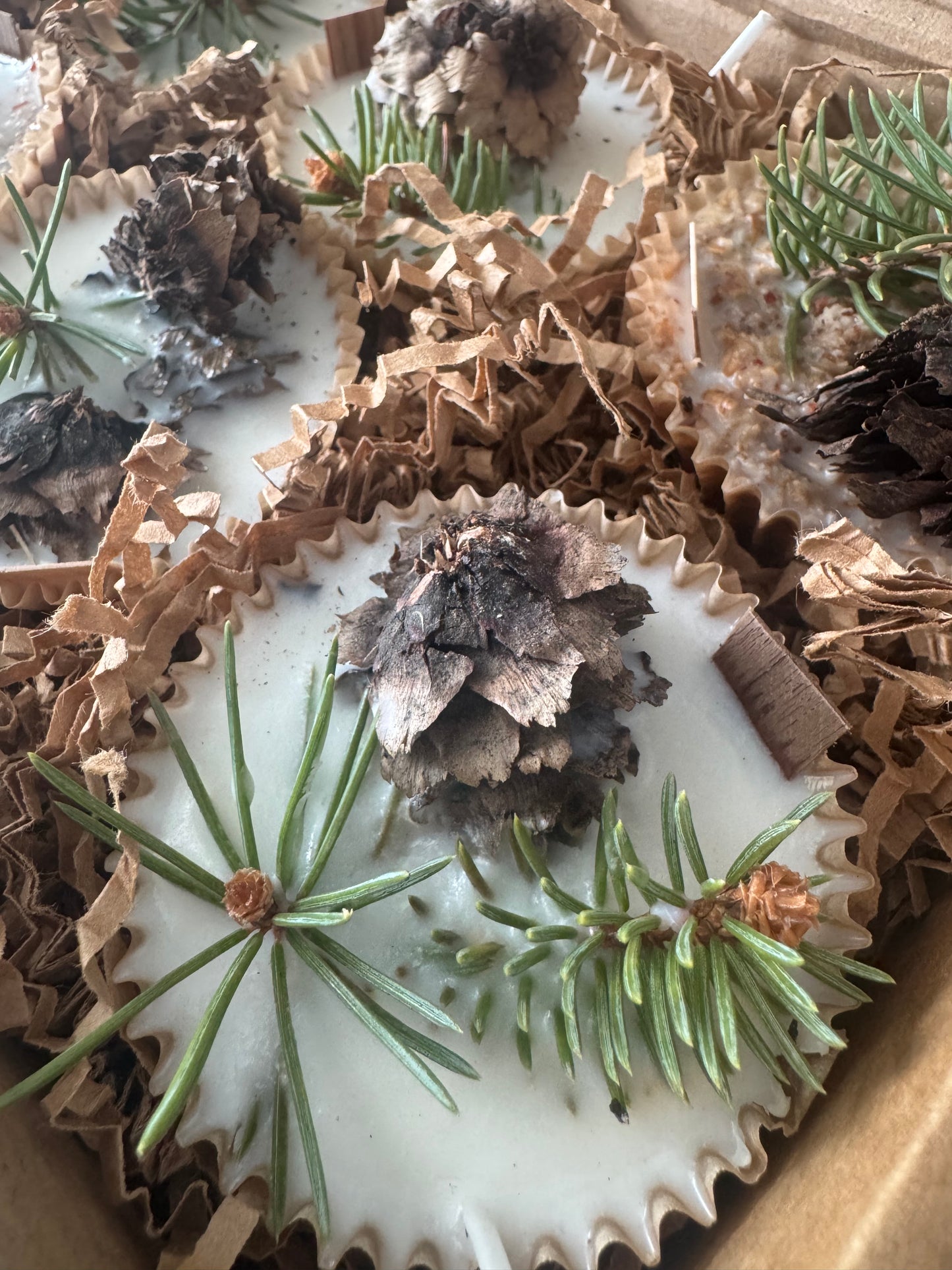 Wax Fire starters (with pinecones)