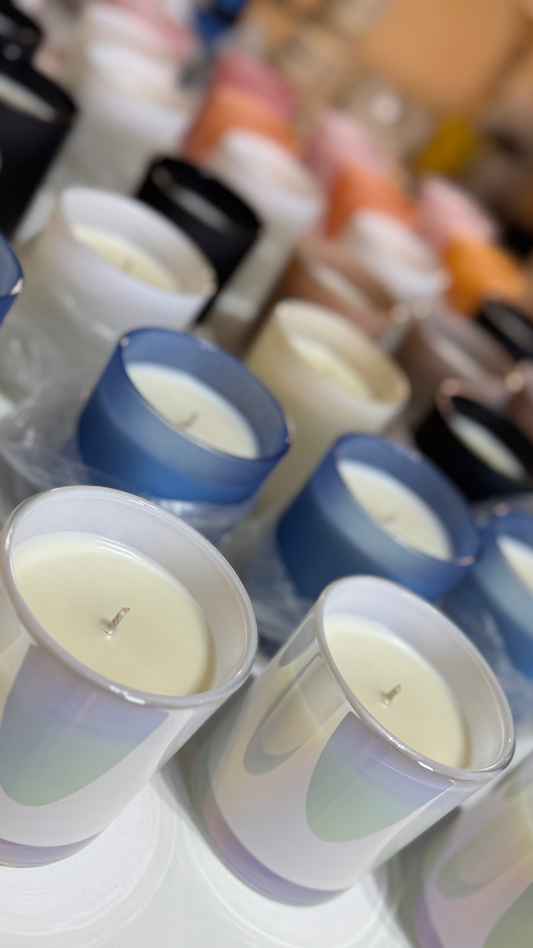 From the Workshop: One Year In (And What a Year It’s Been!)