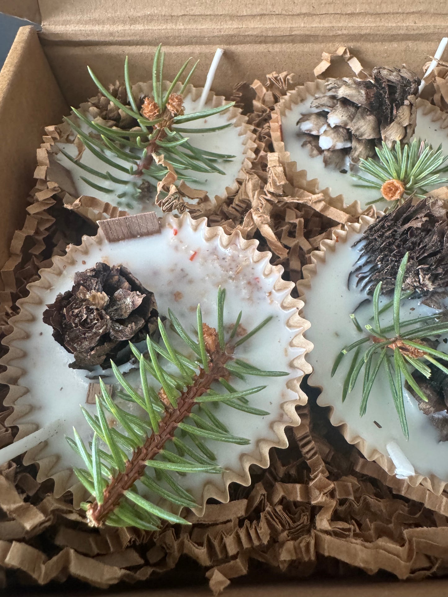 Wax Firestarters (pinecones) - Citronella