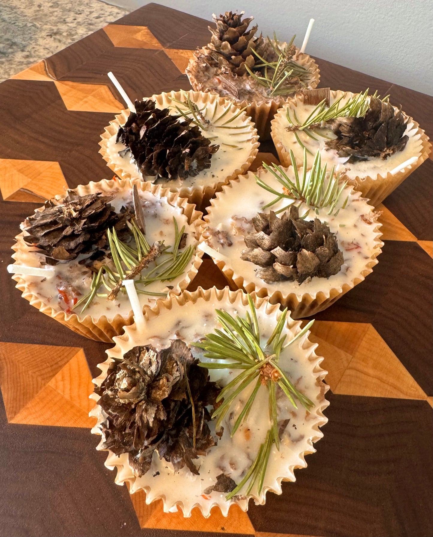 Wax Firestarters (pinecones) - Citronella